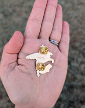 Load image into Gallery viewer, Sparrow Fox Pin