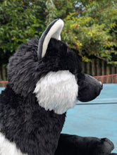 Load image into Gallery viewer, Nightfall - Magpie Wolf - Deluxe Version