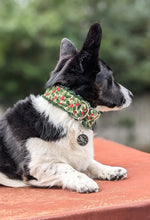 Load image into Gallery viewer, Cardinal Pet Tag