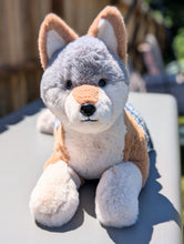 Load image into Gallery viewer, Lyric - Pigeon Coyote - Snuggle Series