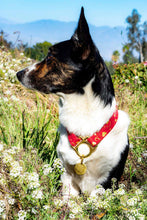 Load image into Gallery viewer, Hearts Pet Tag