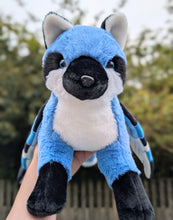 Load image into Gallery viewer, Blue Jay Fox
