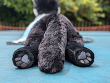 Load image into Gallery viewer, Nightfall - Magpie Wolf - Deluxe Version
