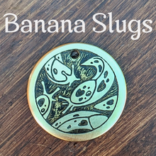 Load image into Gallery viewer, Banana Slugs Pet Tag
