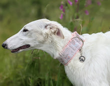 Load image into Gallery viewer, Borzoi and Hare Pet Tag
