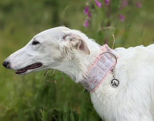 Borzoi and Hare Pet Tag