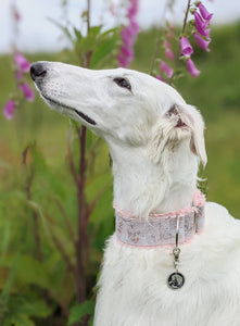 Borzoi and Hare Pet Tag