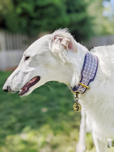 Borzoi and Wolf Pet Tag