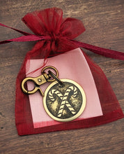 Load image into Gallery viewer, Candy Canes Pet Tag
