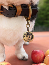 Load image into Gallery viewer, Apple Cider Pet Tag
