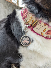 Load image into Gallery viewer, Four-leaf Clover Pet Tag
