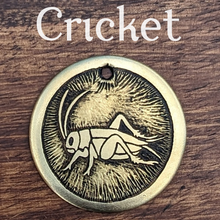 Load image into Gallery viewer, Cricket Pet Tag
