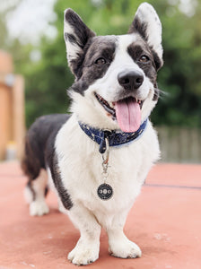 Moon Phases Pet Tag