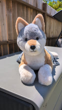 Load and play video in Gallery viewer, Lyric - Pigeon Coyote - Snuggle Series
