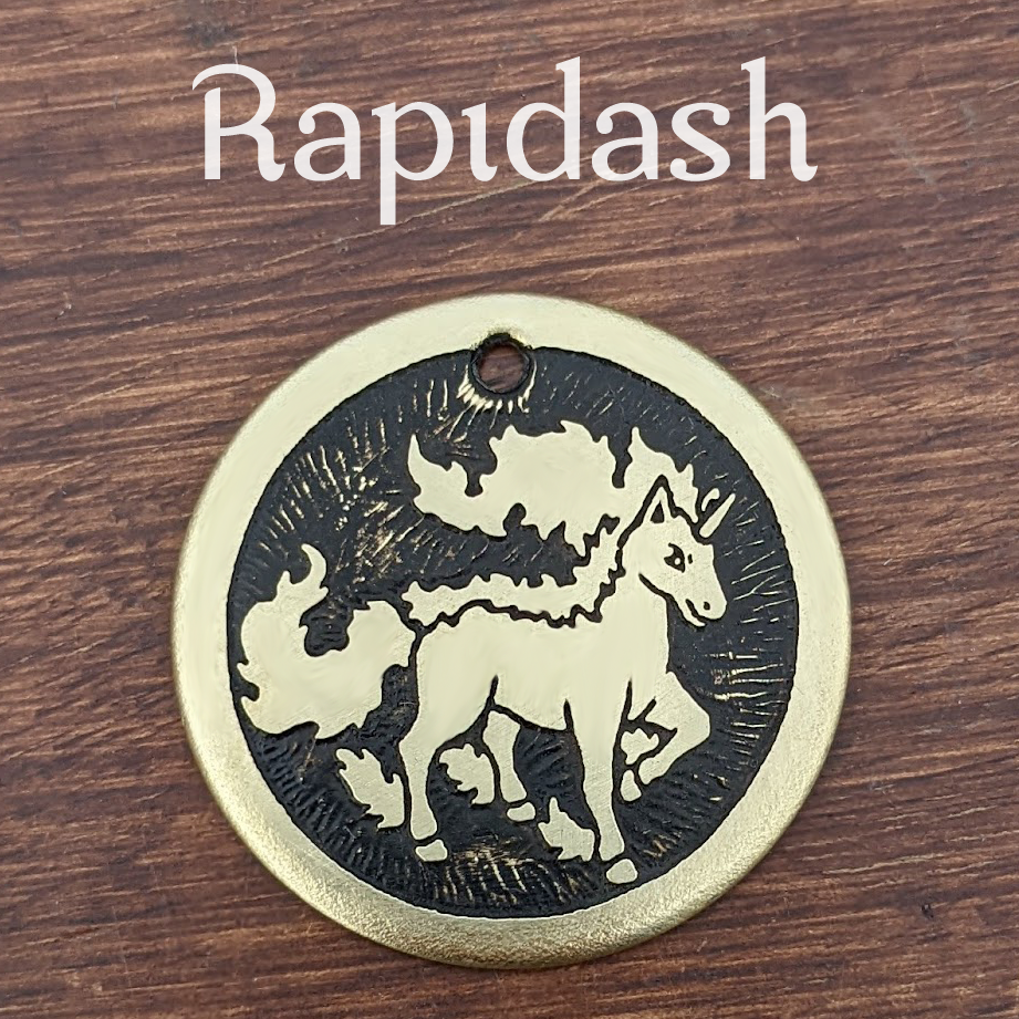 Rapidash Pet Tag