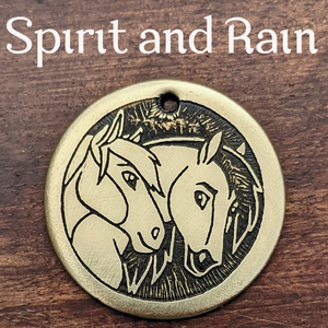 Spirit and Rain Pet Tag