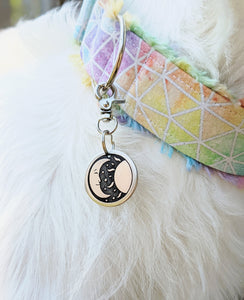 Sun and Moon Pet Tag