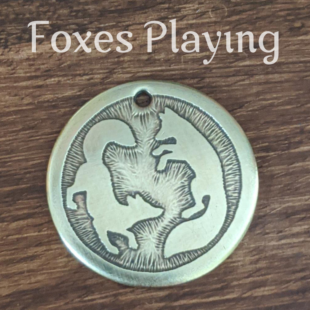 Foxes Playing Pet Tag